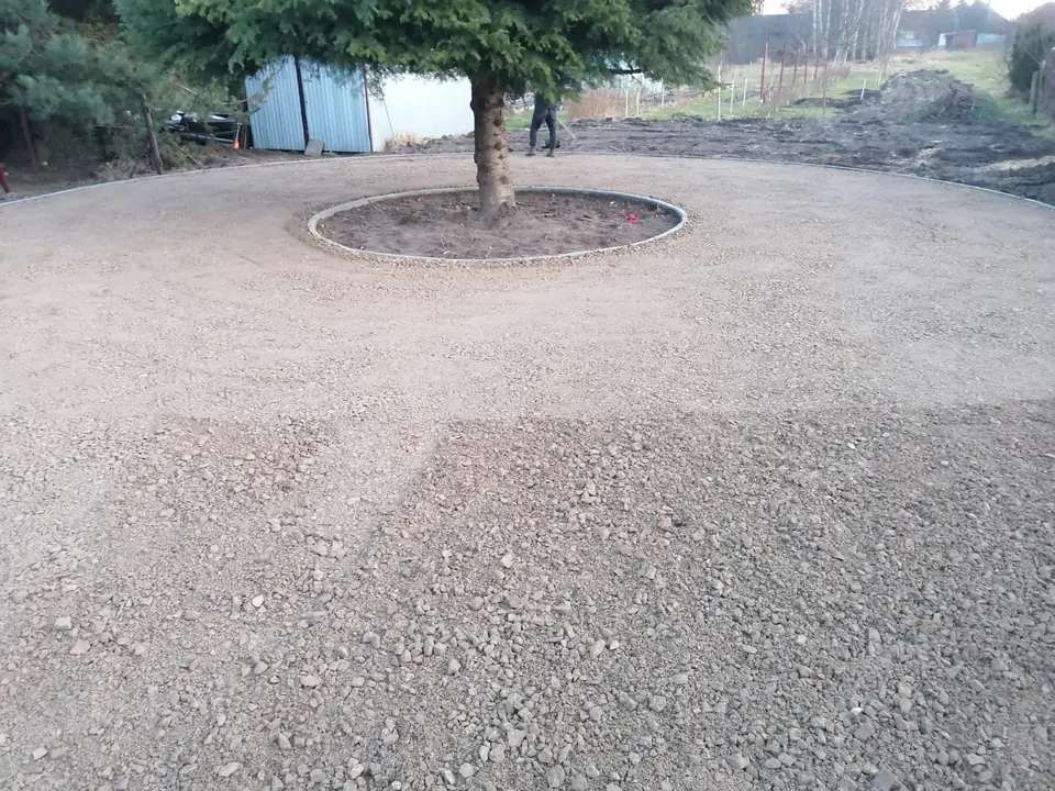 Plac wyrównany kruszywem wokół drzewa