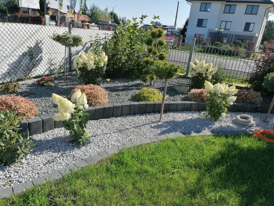 Ogród z rabatą, iglakami i trawnikiem
